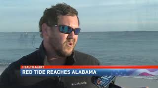 Red Tide comes to Baldwin County - NBC 15 News WPMI