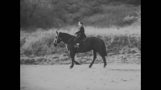 Zühtü / Esin Afsar / Buster Keaton