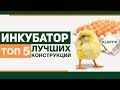 Инкубатор - ТОП 5 Лучших конструкций.