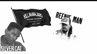Killamanjaro 1997 (AUDIO) ft Beenie Man, Silver Cat - (Beenie Earthstrong) - Part 1 -  Guvnas Copy