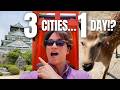 How to See Osaka, Kyoto & Nara in One Day | Local Tips