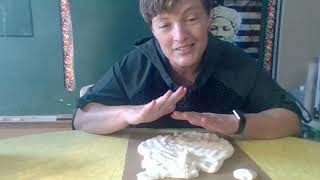 Creating Salt Dough Landforms