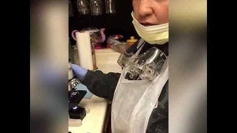 Week 3 microscopy for microbiology