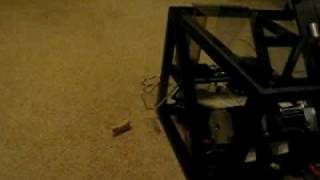 CSULB Mechanical Engineering Senior Design Project (Automatic Dog Ball Thrower) video #3