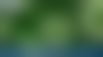 Indian State Of Kerala Raises Alert On Nipah Virus + More I The World Today