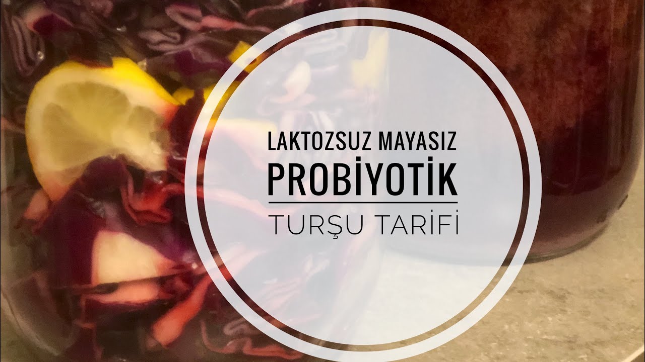Ipek Kuscu Receteleri Ile Laktozsuz Mayasiz Probiyotik Tursu Tarifi Youtube Tursu Recete Tarifler