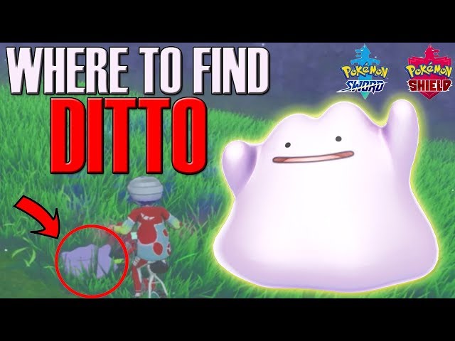 Pokémon Sword and Shield: Encontra e apanha um Ditto - Millenium