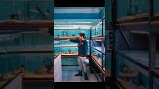 Download Lagu 🦈 #fujifilm #fujifilmxt3 #photography #streetphotography #shark #aquarium MP3