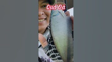 Câu Cá Thác Lác #shorts #inshot #dammecauca #caucathiennhien #caucagiatri #fishing