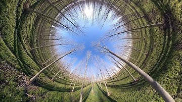 Insta360 ONE X | 4K | Extended Edition Selfie Stick | Tiny Planet | 10-01-19 | #290 ✔