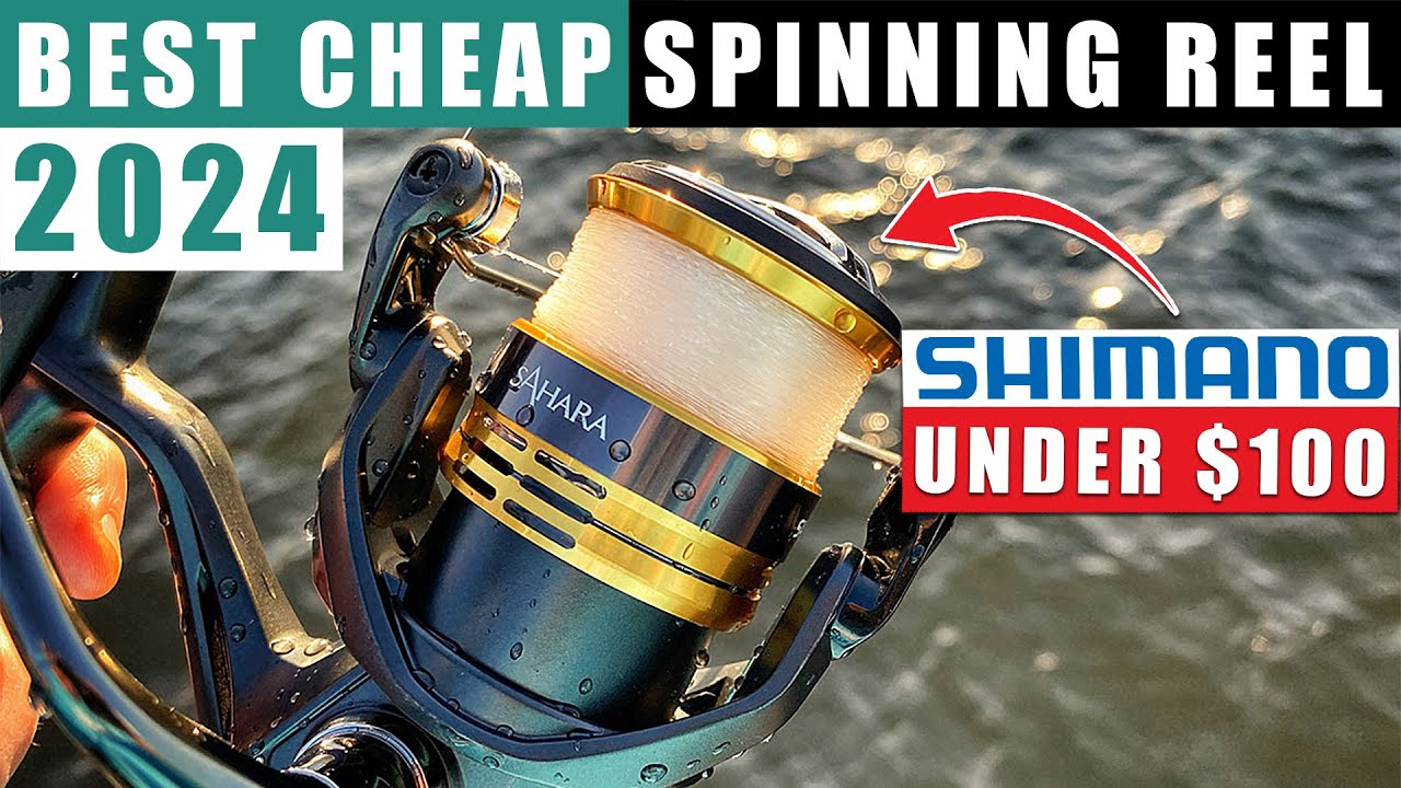 5 Best Cheap SHIMANO SPINNING REELS under $100 2024 (reviewed) 5 Best Cheap SHIMANO SPINNING REELS under $100 2024 (reviewed)