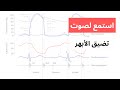     لغط القلب صوت تضيق الأبهر