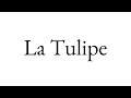 La tulipe robert desnos