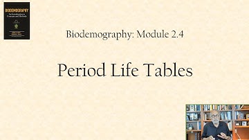 Period life tables