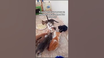 For any support, click the link in our channel description to donate. Every bit of support counts.🙏