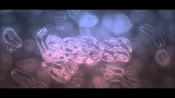 DatMx Intro | Entry | By Mr. Universe