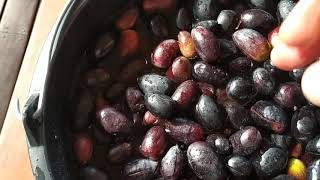 Classic home made organic kalamata olives screenshot 5