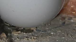 Marysville 90 Leak In Hvac Pipe And P-Trap Addition Request