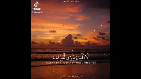 القارئ احمد النفيس - سورة القيامة