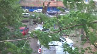 Ураган в Нижнем Новгороде 30.05.2018 Ветер повалил деревья.