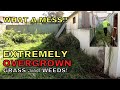 Extremely Overgrown Grass Edges - Mowing Lawn and Whipper Snipping the Weeds in the Corners - VLOG6