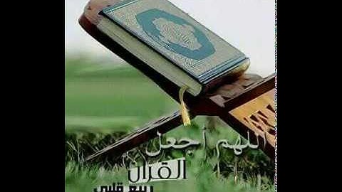 ماتيسر من سورة هود بصوت القارئ عبدالله الزعبي