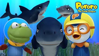 ⭐FULL⭐ | Pororo Shark Song and more + | Song for Kids | Pororo Nursery Rhymes