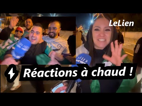CAN 2025 Les Supporters Algériens Livrent Des Réactions Fortes Après La Qualification 