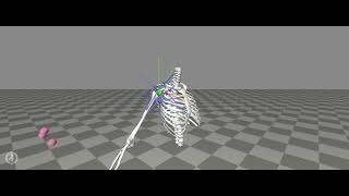 OpenSim Moco - Post-operative RTSA Lateral Reaching Predictive Simulation