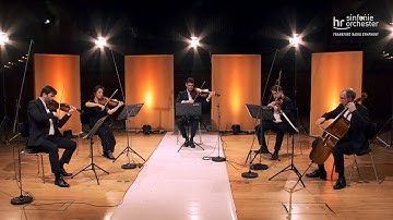 Beethoven: Streichquintett C-Dur op. 29 ∙ Hába Quartett ∙ Philipp Nickel
