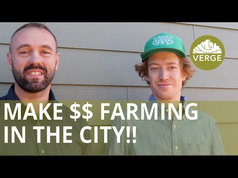 Making Money Urban Farming - Grand Trunk Veggies