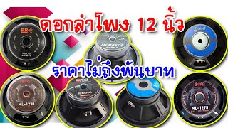 [สปอย] เครื่องเสียงบ้านๆ EP.52 ดอกลำโพง 12 นิ้ว สำหรับทำเสียงกลาง ในระดับเครื่องเสียงบ้านๆ