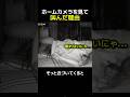 翌日、飼い主が知ったのは…