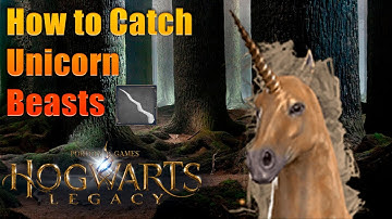 Hogwarts Legacy How to Catch Unicorn Beast for Get Unicorn Hair