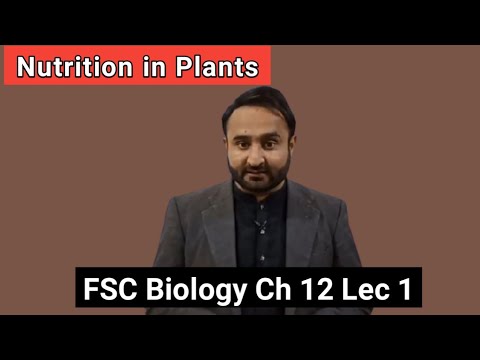 Nutrition in Plants | Insectivorous Plants | Class 11 Biology