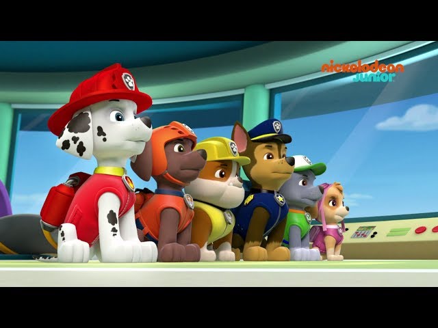 Paw Patrol : la Pat'Patrouille | Compilation canine | NICKELODEON JUNIOR class=