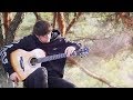 Capture de la vidéo Hunter's Moon - Andy Mckee - Percussive Fingerstyle Guitar