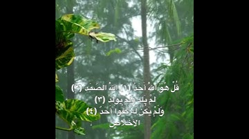 سورة الاخلاص #الربح #تيك_توك #اكسبلور #لايك