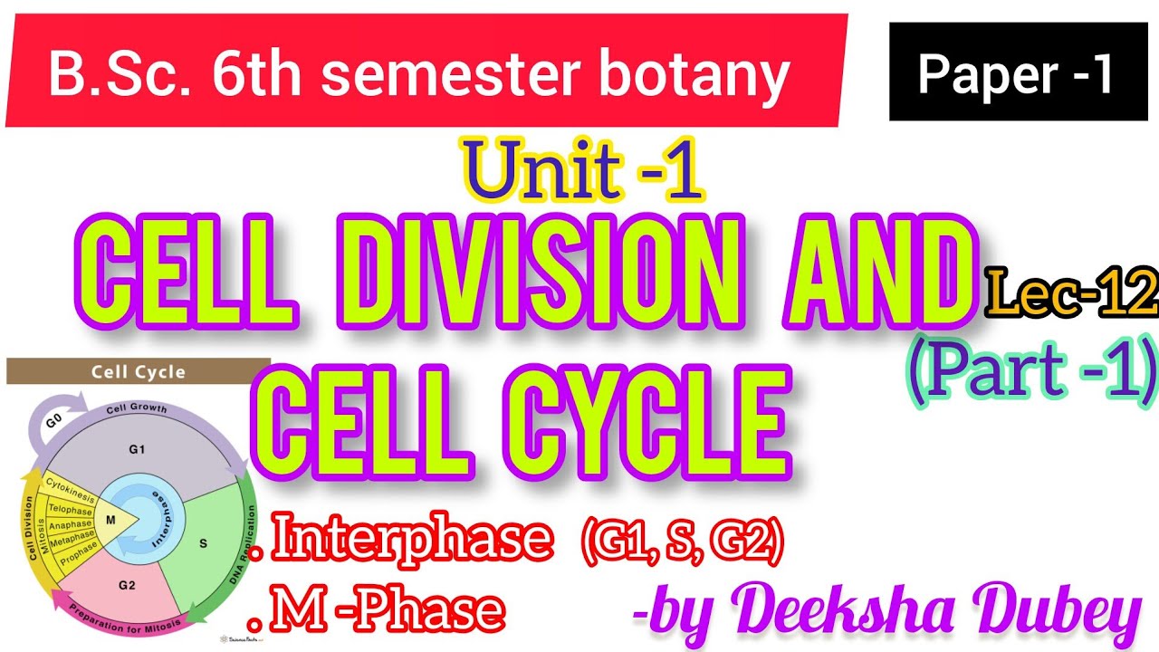 Cell division and Cell cycle - BSc 6th semester botany unit 1 paper 1 # ...
