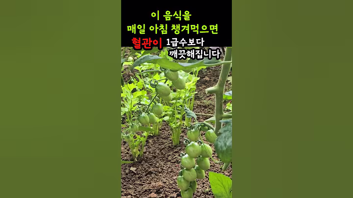 매일 아침 먹기만 해도 혈관이 깨끗해지는 음식 3가지 #shorts #건강정보 #건강 #영양식 #음식 #혈관건강 #건강상식 #건강관리 #건강식단 #혈당관리