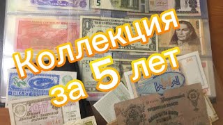 Моя коллекция банкнот за 5 лет #банкноты #монеты #монета #банкнотымира #бонистика