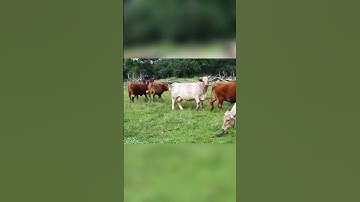 How to Create Fantastic Content That Resonates with Your Audience