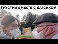 Грустим вместе с Барсиком