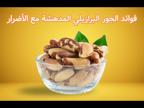 فوائد الجوز البرازيلي 10 فوائد رائعة مع الأضرار