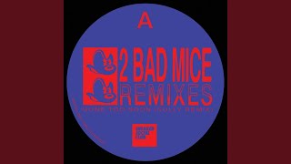 Video thumbnail of "2 Bad Mice - Gone Too Soon (Sully Remix)"