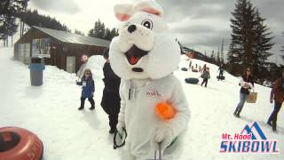 The Easter Bunny at Mt Hood Skibowl 2012
