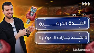 الغدة الدرقية والغدد جارات درقية3 أحياء تالتة ثانوى✊?❣️