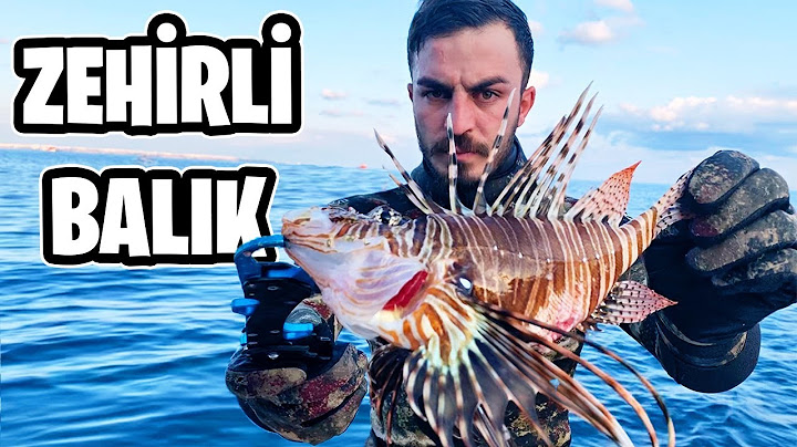 DÜNYANIN EN ZEHİRLİ BALIĞINI AVLADIM! (ASLAN BALIĞI)