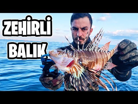 Video: muhallebi çocuğu