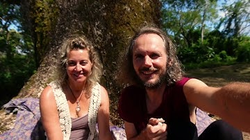 Introducing Planetary Chakra Healing Template for Ableton